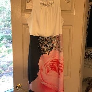 Ted Baker London Blenheim Palace embellished dress